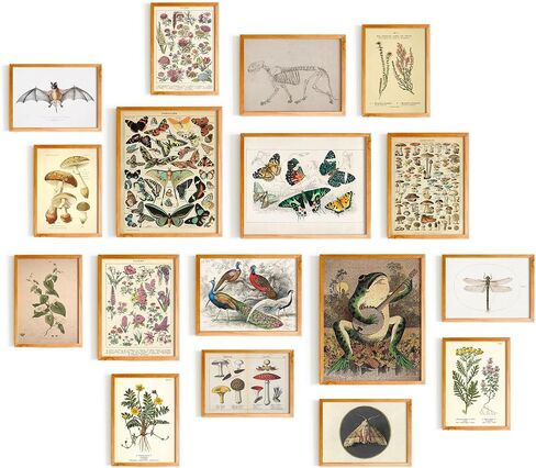 Cottagecore & Fairycore Wall Art - 17 Unframed Prints for Living Room, Bedroom & Office Decor in Saudi Arabia