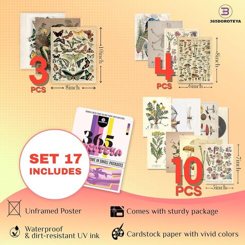 Cottagecore & Fairycore Wall Art - 17 Unframed Prints for Living Room, Bedroom & Office Decor in Saudi Arabia