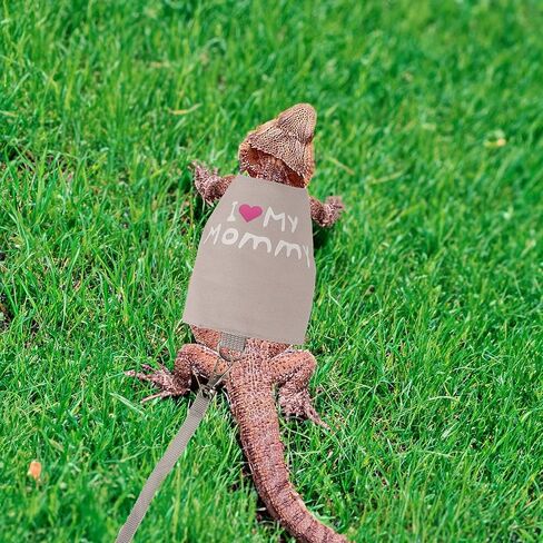 ADOGGYGO Bearded Dragon Harness Leash Set, Lizard Dragon Costume Adjustable Lizard Dinosaur Leash Harness for Bearded Dragon Reptiles (Green, Small) in Kuwait