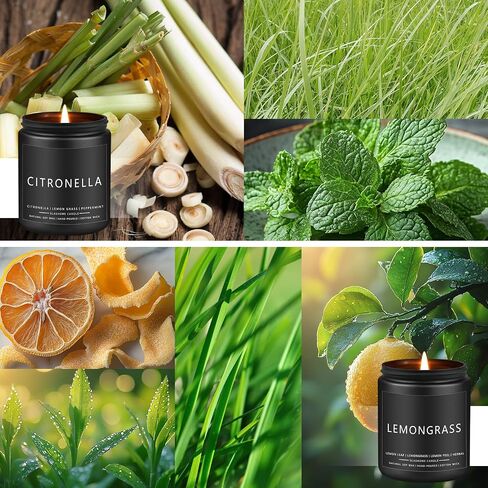 Outdoor Candles Set, Scented Candles for Summer, Soy Jar Candle for Outdoor Patio Indoor Home Scented - Citronella/Lemon Eucalyptus/Lemongrass/Sage & Citrus, Gifts for Father Dad & Men (7oz - 4 Pack) in Saudi Arabia