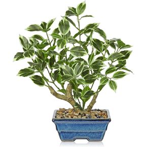 Small Fake Plant Artificial Bonsai Tree 17" Faux Plants Indoor Realistic Fake Potted Plants Small Fake Tree Decor with Pot for Home Table Office Desk Bathroom Bedroom Living Room Farmhouse Decoration in Kuwait
