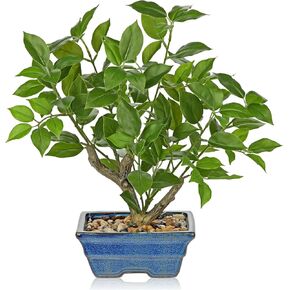 Small Fake Plant Artificial Bonsai Tree 17" Faux Plants Indoor Realistic Fake Potted Plants Small Fake Tree Decor with Pot for Home Table Office Desk Bathroom Bedroom Living Room Farmhouse Decoration