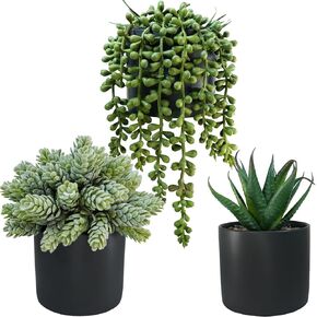 Winlyn Set of 3 Artificial Succulents Plants in Black Cement Planters Faux Potted Plants Aloe String of Pearls Donkey Tail Small House Plants 5" Tall for Table Shelf Home Office Bathroom Living Room