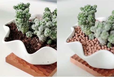 HOT SEAL 1.9 LB Black Decorative Gravel 1/8'', Coarse Sand Succulent Cactus Bonsai Crushed Potting Rock Vase Filler Planting Planter Sandstone for Terrarium, Top Dressing, Fairy Gardening Decor in Saudi Arabia
