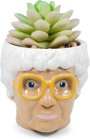 الفضة بوفالو The Golden Girls Sophia Face Mini Ceramic Planter Decor | برنامج تلفزيوني رسمي Collectible | وعاء زهرة صغير للنباتات الداخلية ، يشمل عصاري الاصطناعي | 3 بوصات in Kuwait