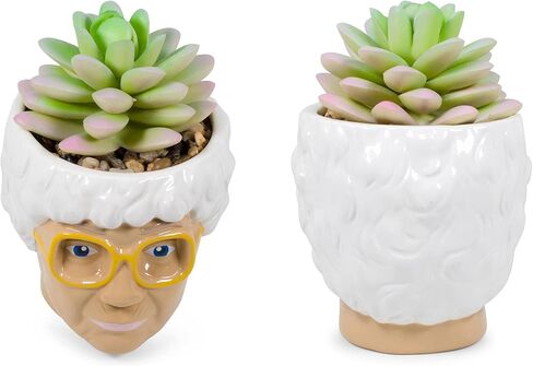 الفضة بوفالو The Golden Girls Sophia Face Mini Ceramic Planter Decor | برنامج تلفزيوني رسمي Collectible | وعاء زهرة صغير للنباتات الداخلية ، يشمل عصاري الاصطناعي | 3 بوصات in Kuwait