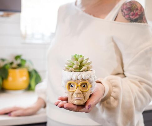 الفضة بوفالو The Golden Girls Sophia Face Mini Ceramic Planter Decor | برنامج تلفزيوني رسمي Collectible | وعاء زهرة صغير للنباتات الداخلية ، يشمل عصاري الاصطناعي | 3 بوصات in Kuwait