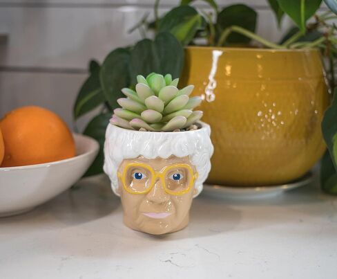 الفضة بوفالو The Golden Girls Sophia Face Mini Ceramic Planter Decor | برنامج تلفزيوني رسمي Collectible | وعاء زهرة صغير للنباتات الداخلية ، يشمل عصاري الاصطناعي | 3 بوصات in Kuwait