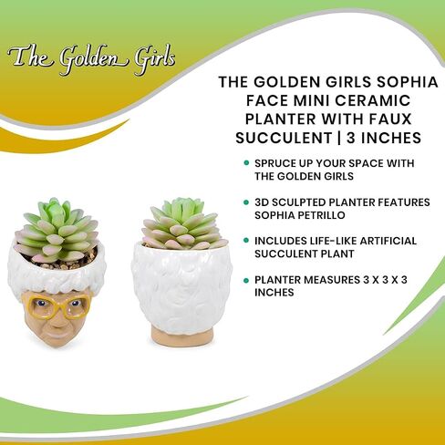 الفضة بوفالو The Golden Girls Sophia Face Mini Ceramic Planter Decor | برنامج تلفزيوني رسمي Collectible | وعاء زهرة صغير للنباتات الداخلية ، يشمل عصاري الاصطناعي | 3 بوصات in Kuwait
