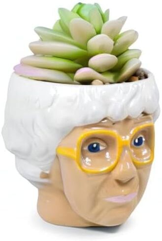الفضة بوفالو The Golden Girls Sophia Face Mini Ceramic Planter Decor | برنامج تلفزيوني رسمي Collectible | وعاء زهرة صغير للنباتات الداخلية ، يشمل عصاري الاصطناعي | 3 بوصات in Kuwait