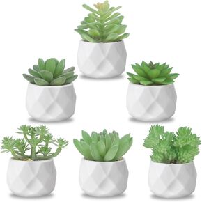 ZINHO Fake Succulent Plant Set 6 PCS Artificial Succulent Plants for Desk Realistic Faux Succulents in Plastic Pots Mini Colorful Succulent Decor for Bedroom Bathroom Office Shelf Decor (Mix)