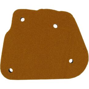Air Filter 4VP-E4451-00-00 4VP-E4451-00 Compatible for Yamaha Motorcycle Zuma 50 YW50