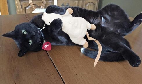 SPOT Ethical Pets 52082 House Mouse Helen Catnip Toys in Saudi Arabia