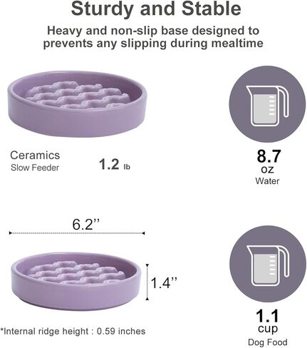 أطباق الكلب المغذية البطيئة، حامل مرتفع، سلالة صغيرة متوسطة الحجم، أكل الكلب البطيء، وعاء تغذية بطيء من السيراميك، وعاء تغذية بطيء للجرو من أجل أكل سريع، وعاء طعام للكلاب (وعاء مرتفع 19-38 أونصة) in Kuwait