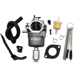 KIPA Carburetor for 794572 791858 792358 793224 697190 698445 594593 498061 499153 690194 791886 799727 With Mounting Gasket & Carbon Dirt Jet Cleaner Tool Kit