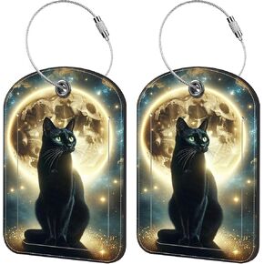 2 Pack Cute Luggage Tag for Suitcases Classic Compass Leather Luggage Tags with Stainless Steel Loop Privacy Flap Name Tags,Men and Women Travel Bag Suitcase Tags