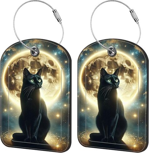 2 Pack Cute Luggage Tag for Suitcases Classic Compass Leather Luggage Tags with Stainless Steel Loop Privacy Flap Name Tags,Men and Women Travel Bag Suitcase Tags in Saudi Arabia
