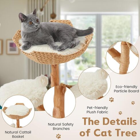 Black Cat Tree with Coffin Cat Bed for Indoor Cats,Aesthetic Cat Condos with Sisal Scratching Post,Small Cat Tree,Multi-Level Play Activities Platform,Gift in Saudi Arabia