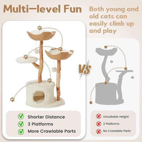 Black Cat Tree with Coffin Cat Bed for Indoor Cats,Aesthetic Cat Condos with Sisal Scratching Post,Small Cat Tree,Multi-Level Play Activities Platform,Gift in Saudi Arabia