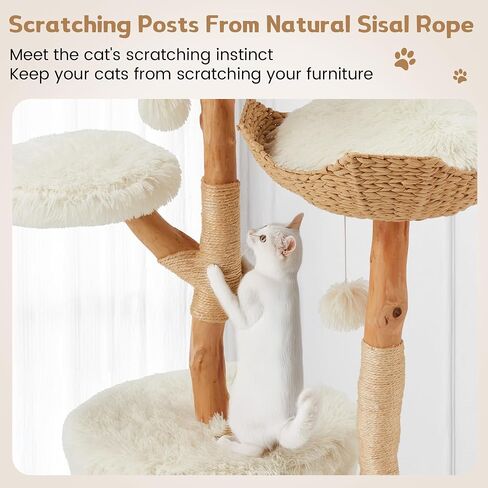 Black Cat Tree with Coffin Cat Bed for Indoor Cats,Aesthetic Cat Condos with Sisal Scratching Post,Small Cat Tree,Multi-Level Play Activities Platform,Gift in Saudi Arabia