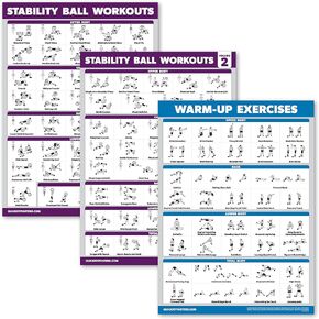 Palace Learning 3 Pack - Yoga Ball Workout Exercises Volume 1 & 2 + Warm Ups - Stability Ball Routine - Fitness Charts