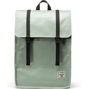 حقيبة ظهر للمسح في شركة Herschel Supply Co. ، Standard ، 23L ، Iceberg Green