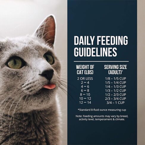 Fussie Cat Market Fresh Turkey Recipe Dry Cat Food, 3.5lb Bag in Saudi Arabia