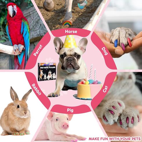 MSDADA Dog Nail Polish Pens Quick Dry - 12 Colors Pet Nail Polish Set for Dogs, Dog Safe & Odorless Nail Polish, Easy DIY Dog Nail Art Kit - Stylish Girl Dog Accessories for Puppy, Large Dogs in Kuwait