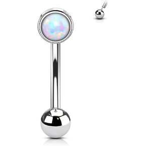 COCHARM Cute Titanium Rook Earrings 16g Silver Surgical Steel Rook Piercing Jewelry for Women 8mm Flat Top Rook Barbells Threaded Dainty Surgical Steel Rook Bar Nickel Free