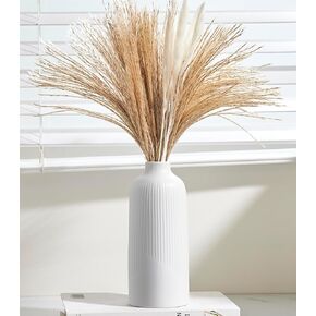 إناء السيراميك الأبيض البسيط ، مزهرية زهرة ل PAMPAS-DECOR الحد الأدنى من المزهرية الحديثة لجدول القطع المركزية ، الموقد ، الرف