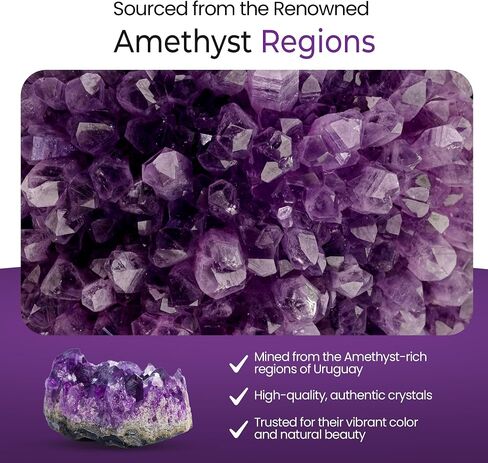 Amethyst Cluster for Meditation – Natural Crystals and Healing Stones – Healing Crystals for Energy Healing – Crystal Decor for Home – Spiritual Decor for Altar, Desk, or Sacred Space, 25-50 Grams in Kuwait