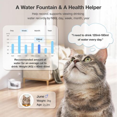 Cat Water Fountain Pump Accessories Suitable for PF1/PF1L in Saudi Arabia