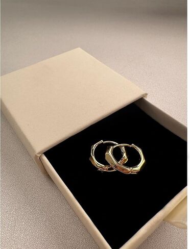 Plated Hoop Earrings for Women Irregular Hoop Earrings Hypoallergenic Jewelry for Gifts in Saudi Arabia
