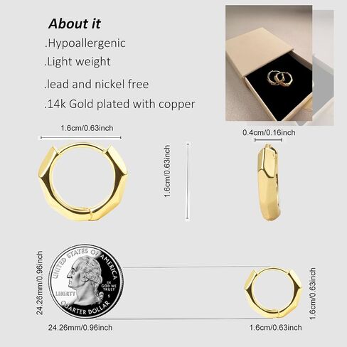 Plated Hoop Earrings for Women Irregular Hoop Earrings Hypoallergenic Jewelry for Gifts in Saudi Arabia