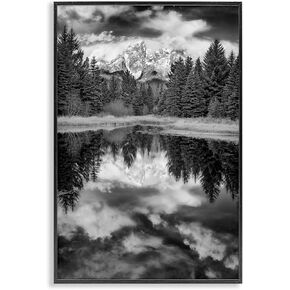 Stupell Industries Black & White Forest Reflection Framed Giclee Wall Art Design by Rick Berk, Black Framed, 20 x 30