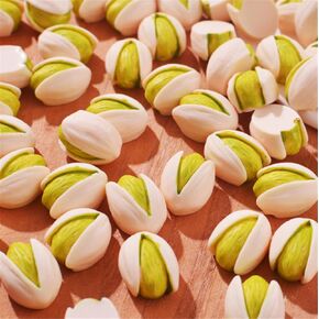 30 Pcs Resin Miniature Pistachio Nut Simulation Mini Fruit Decor DIY Accessories