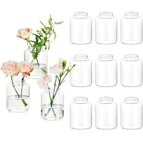 Glasseam Bud vases Set of 6: Glass Vases for Centerpieces Modern Small Vases for Home Table Shelf Wedding Party Decoration - Clear Vase for Flowers Stem Roses Tuilps Cuttings