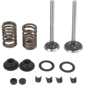 Exhaust Intake Valve and Springs, Intake Exhaust Valve Spring Kit for Single Cylinder Air Cooled Generator Replacement Generator Valve Stem Kit