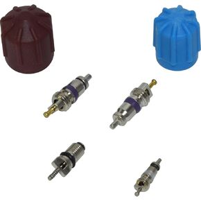 HVAC A/C Valve and Cap Kit