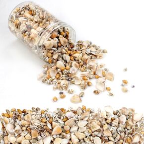 Weoxpr 1000pcs Mini Sea Shells Mixed Ocean Beach Seashells Various Sizes Natural Seashells Starfish for Fish Tank, Home Decorations, Beach Theme Party, Candle Making, Wedding Decor, DIY Crafts