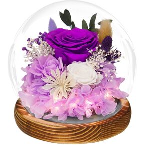 Roses Gifts for Her, Forever Preserved Roses in Glass Dome with LED Light, Mothers Day Birthday Rose Gifts for Women Mom Grandma Girlfriend Wife Best Friend, Blue Forever Real Roses for Delivery