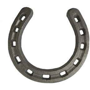D-Doner Cast Iron Horseshoe Wall Decor, Medium Horseshoe Sturdy Cast Iron for Indoor Or Outdoor…