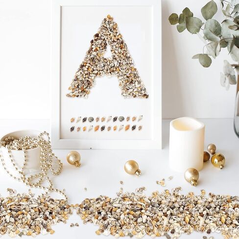 Weoxpr 1000pcs Mini Sea Shells Mixed Ocean Beach Seashells Various Sizes Natural Seashells Starfish for Fish Tank, Home Decorations, Beach Theme Party, Candle Making, Wedding Decor, DIY Crafts in Kuwait