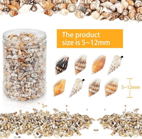 Weoxpr 1000pcs Mini Sea Shells Mixed Ocean Beach Seashells Various Sizes Natural Seashells Starfish for Fish Tank, Home Decorations, Beach Theme Party, Candle Making, Wedding Decor, DIY Crafts in Kuwait