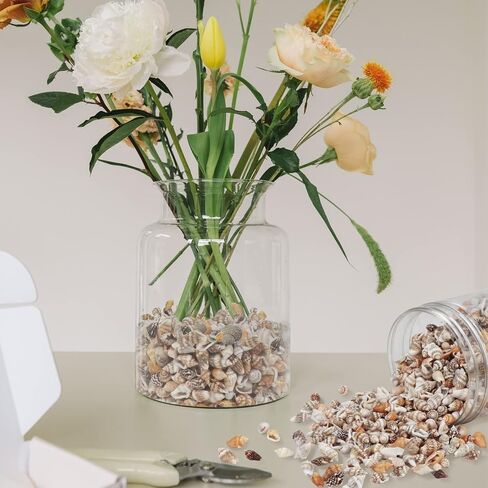 Weoxpr 1000pcs Mini Sea Shells Mixed Ocean Beach Seashells Various Sizes Natural Seashells Starfish for Fish Tank, Home Decorations, Beach Theme Party, Candle Making, Wedding Decor, DIY Crafts in Kuwait
