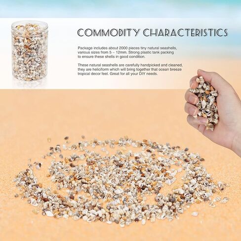 Weoxpr 1000pcs Mini Sea Shells Mixed Ocean Beach Seashells Various Sizes Natural Seashells Starfish for Fish Tank, Home Decorations, Beach Theme Party, Candle Making, Wedding Decor, DIY Crafts in Kuwait