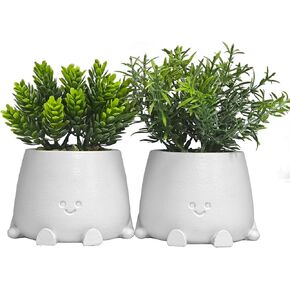 الوجه المبتسم الوجه زورق ديكور داخلي ديكور المنزل - 2pcs النبات الاصطناعي مع المزارعين ديكور نافذة ، وأواني نباتية مزيفة من النضج للحمام/المطبخ/العتبة/المكتب ، عيد الأم/هدايا النساء
