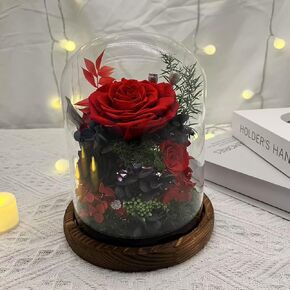 Preserved Real Rose Flowers in Glass Dome, Long Lasting, Valentine's Day Mothers Day Birthday Gifts for Women Mom Friend (Red)