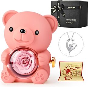 Jibeufi Teddy Bear with Preserved Rose, Flower Forever in Bear with Necklace and Elegant Gift Box for Women, Romantic Bear Roses Gifts for Valentines Mothers Day Anniversary Day Birthday (Red)