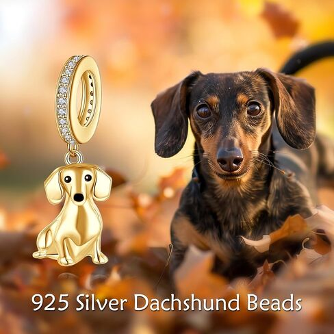 Dachshund Charm S925 Sterling Silver Dachshund Bead Gifts Cute Animal Dog Jewelry Gifts for Women Dachshund Lovers in Saudi Arabia